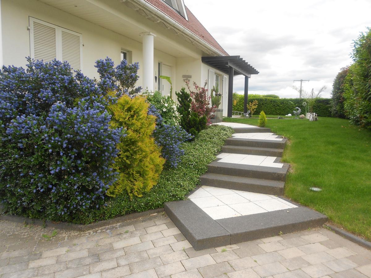 Bed and Breakfast Au Coeur Du Vignoble Orschwiller Zewnętrze zdjęcie