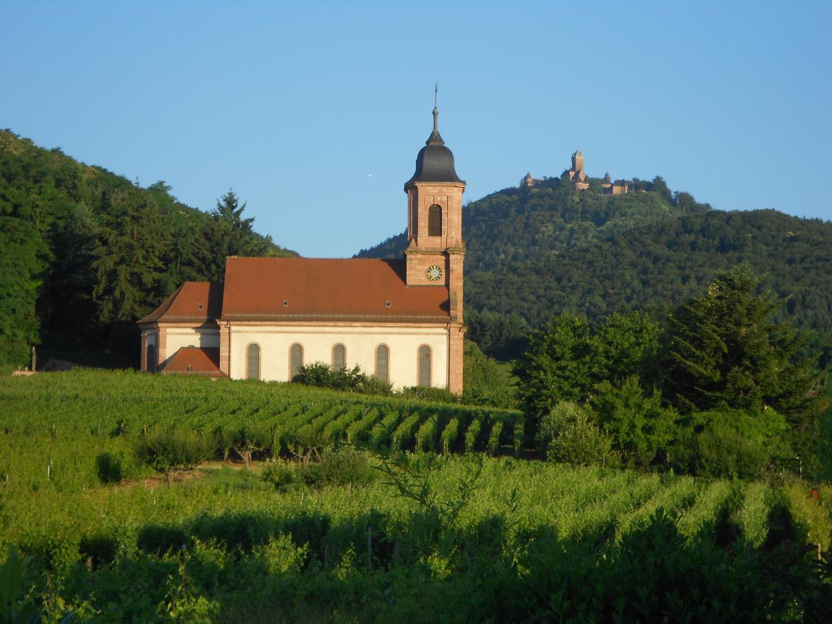 Bed and Breakfast Au Coeur Du Vignoble Orschwiller Zewnętrze zdjęcie